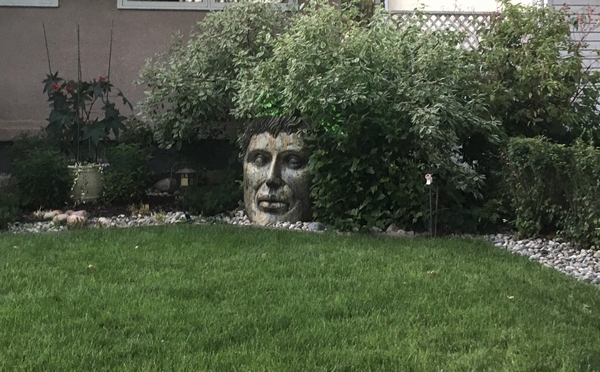 A Face in the Neighbourhood